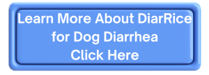 quick fixes for dog diarrhea caused by diet changes